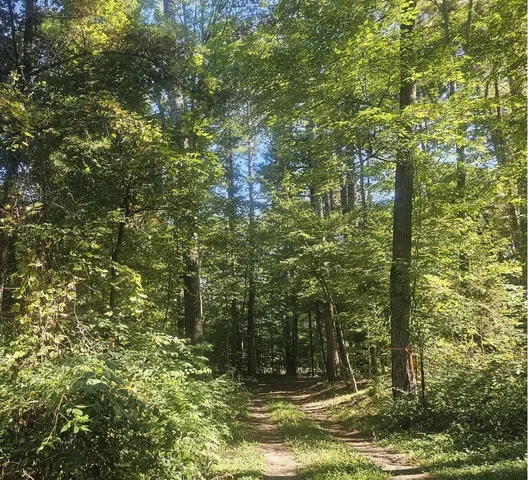 $92,500 | Xx East Bass Lake Drive, Webster, WI 54893