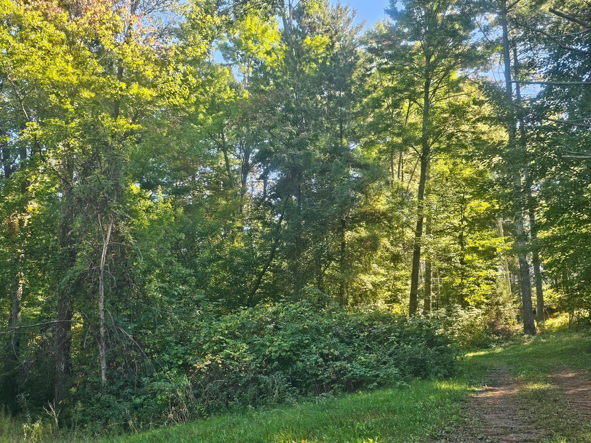 Xx East Bass Lake Drive Webster, WI 54893 - Photo 6 of 9