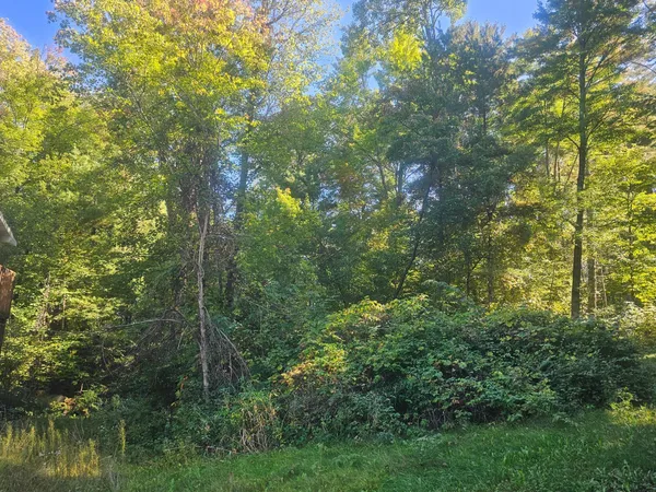 $92,500 | Xx East Bass Lake Drive, Webster, WI 54893