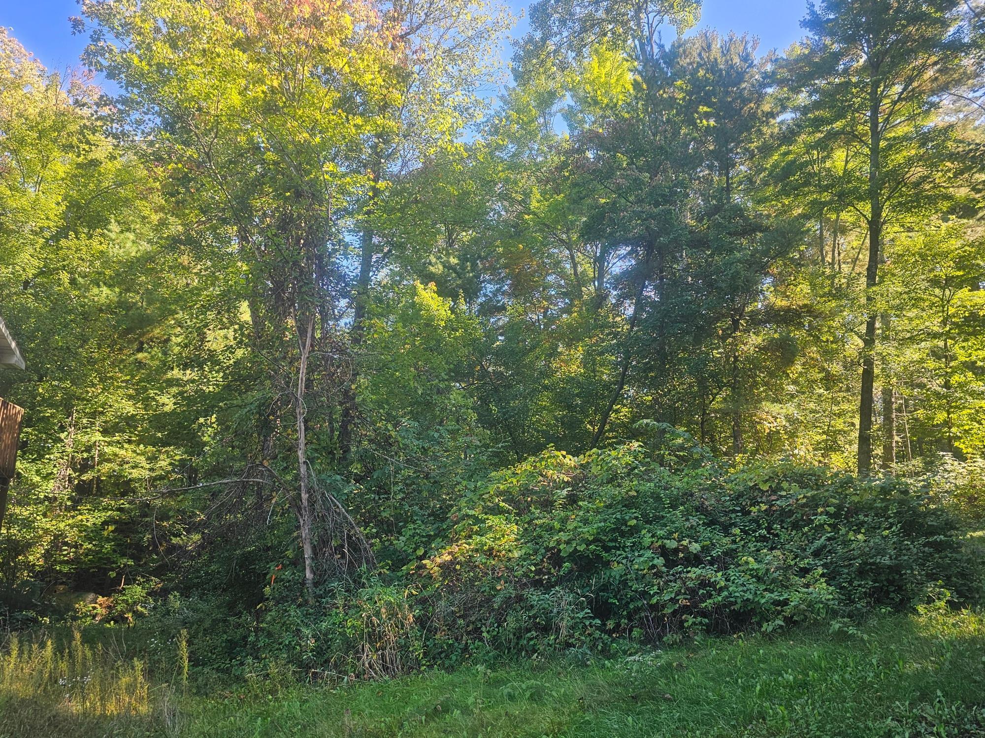 Xx East Bass Lake Drive Webster, WI 54893 - Photo 8 of 9