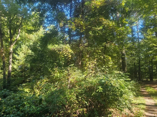 $92,500 | Xx East Bass Lake Drive, Webster, WI 54893