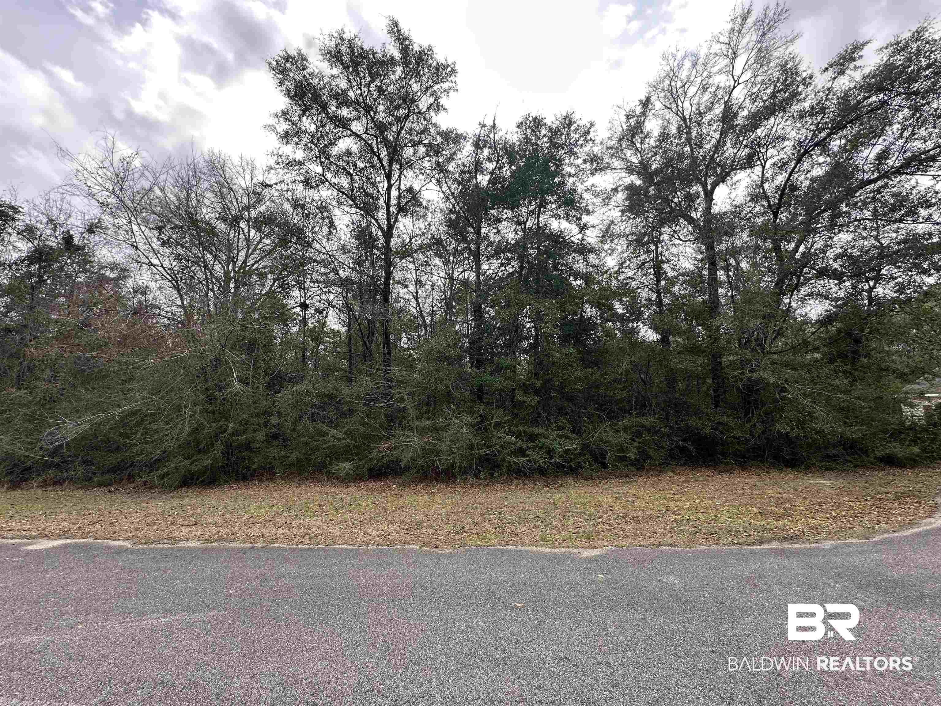 0 Timber Springs Drive Wilmer, AL 36587 - Photo 2 of 4