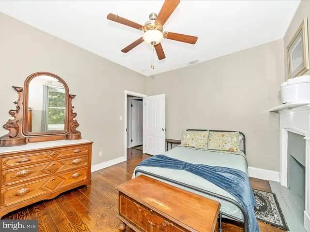 a view of a backyard with plants and large tree
