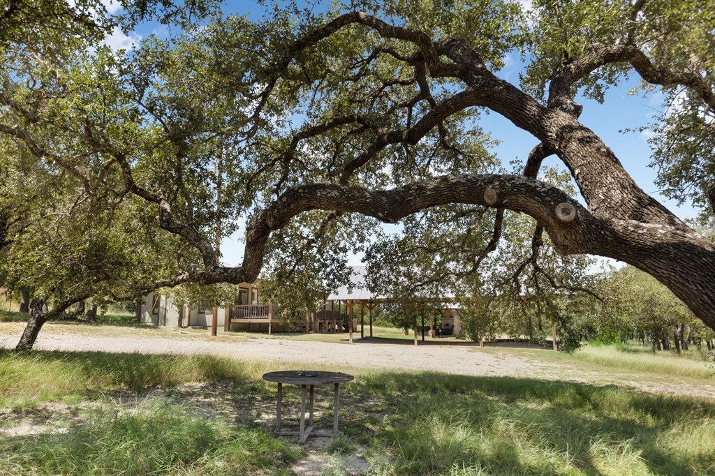 434 Gold-Schaefer Road Fredericksburg, TX 78624 - Photo 24 of 28