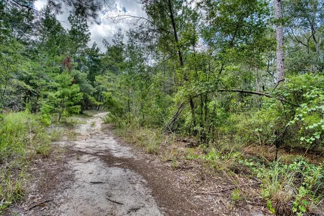 a view of backyard with green space