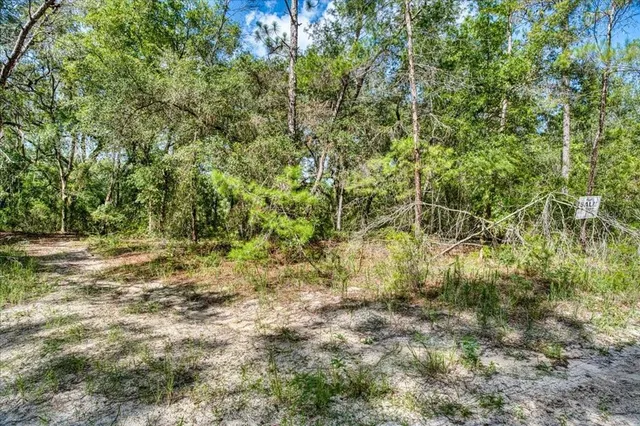 a view of outdoor space and trees