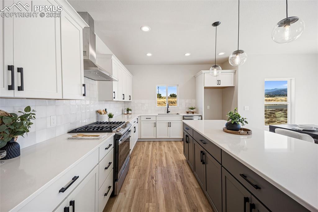 442 Gold Canyon Road Canon City, CO 81212 - Photo 3 of 38 a kitchen with stove a sink dishwasher and white cabinets with wooden floor