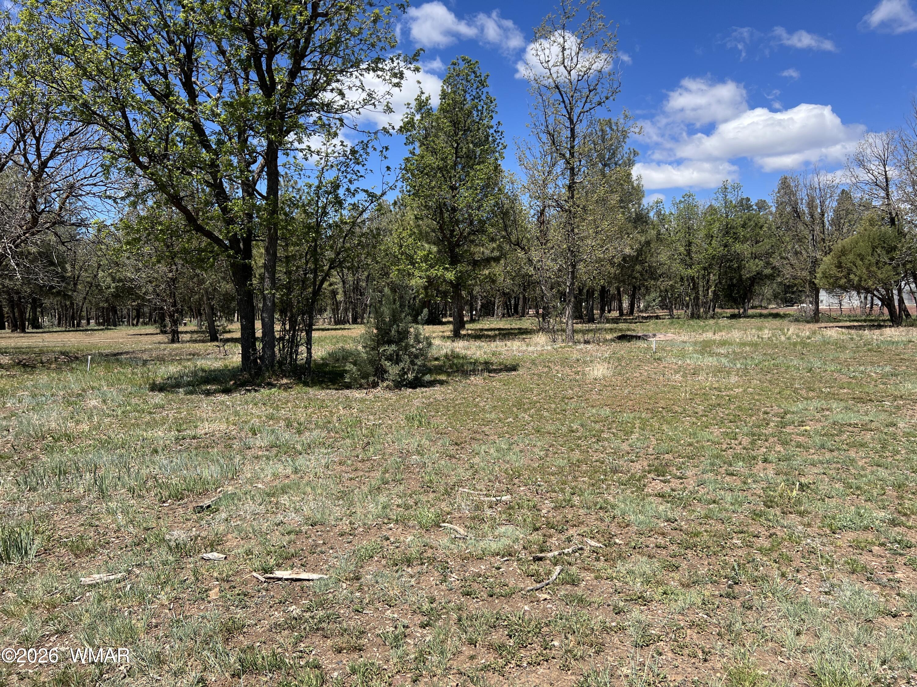 1321 South Woodland Road Lakeside, AZ 85929 - Photo 4 of 24 04