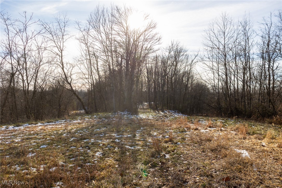 9 County Road New Matamoras, OH 45767 - Photo 14 of 48 View of woods