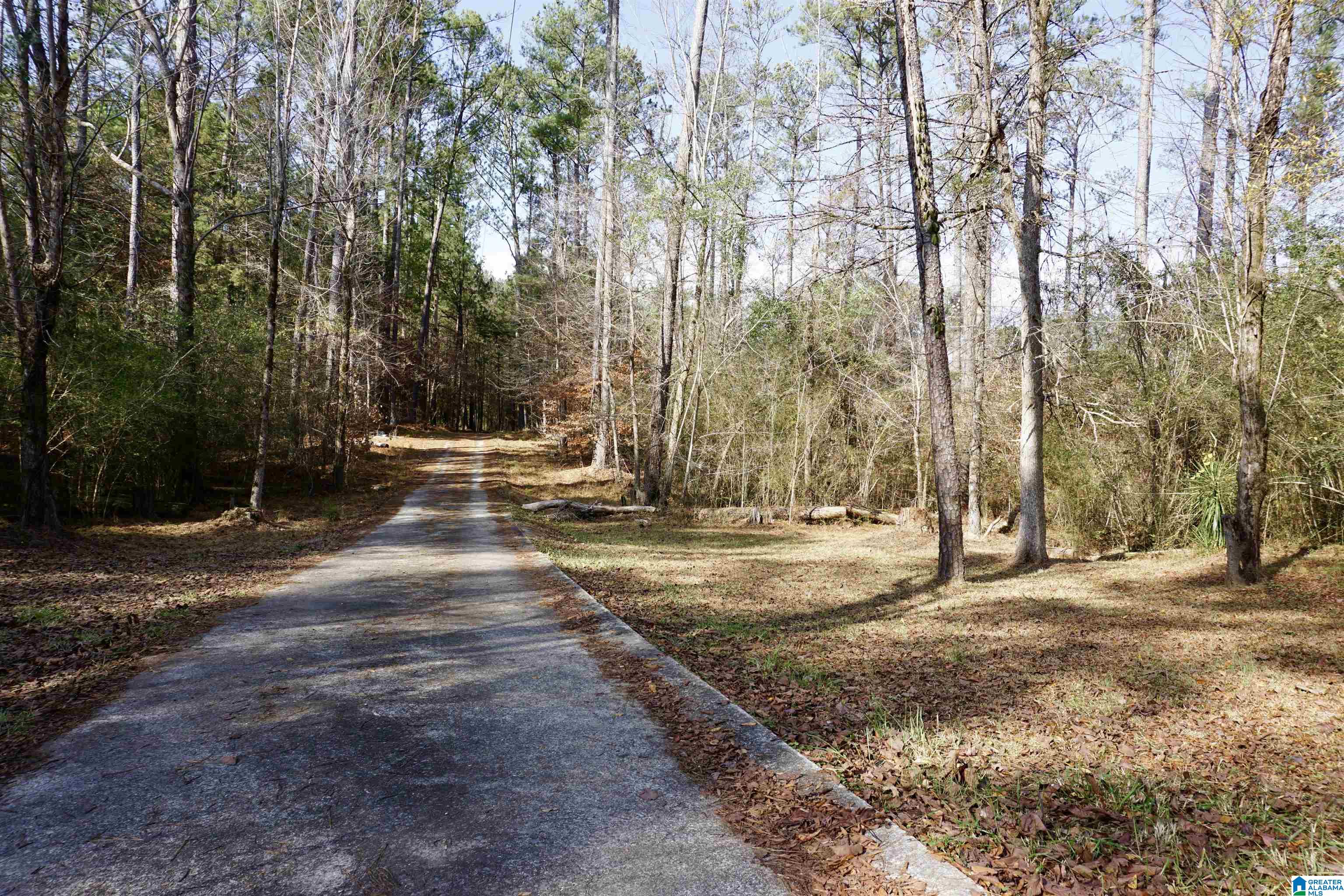 816 Pine Ridge Road Wellington, AL 36279 - Photo 58 of 71