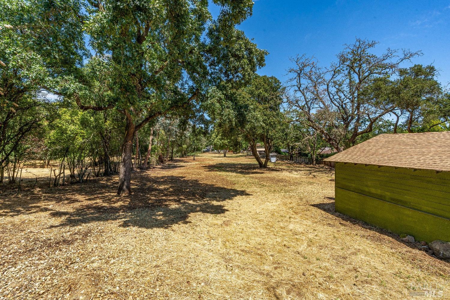 0 Bridgewood Drive Santa Rosa, CA 95404 - Photo 19 of 30 a view of a yard with plants and trees