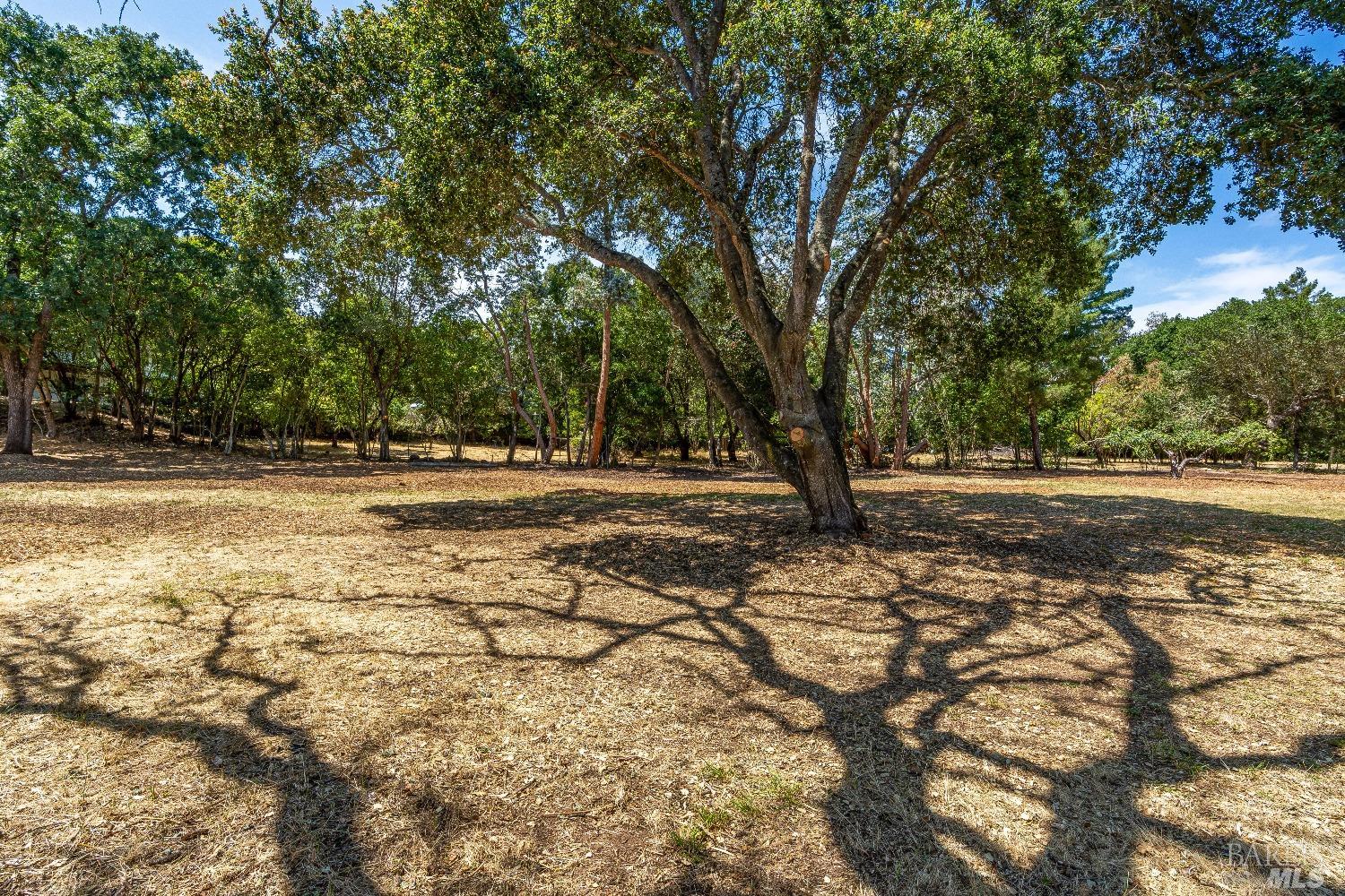 0 Bridgewood Drive Santa Rosa, CA 95404 - Photo 23 of 30 a view of outdoor space with trees