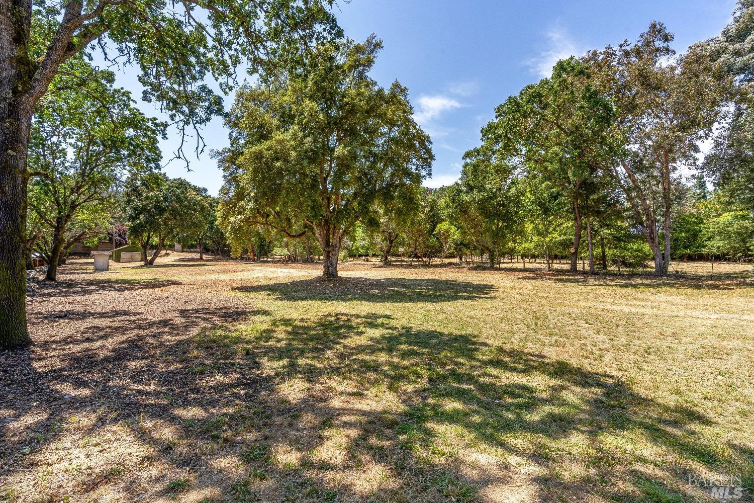 0 Bridgewood Drive Santa Rosa, CA 95404 - Photo 27 of 30 a view of road with trees