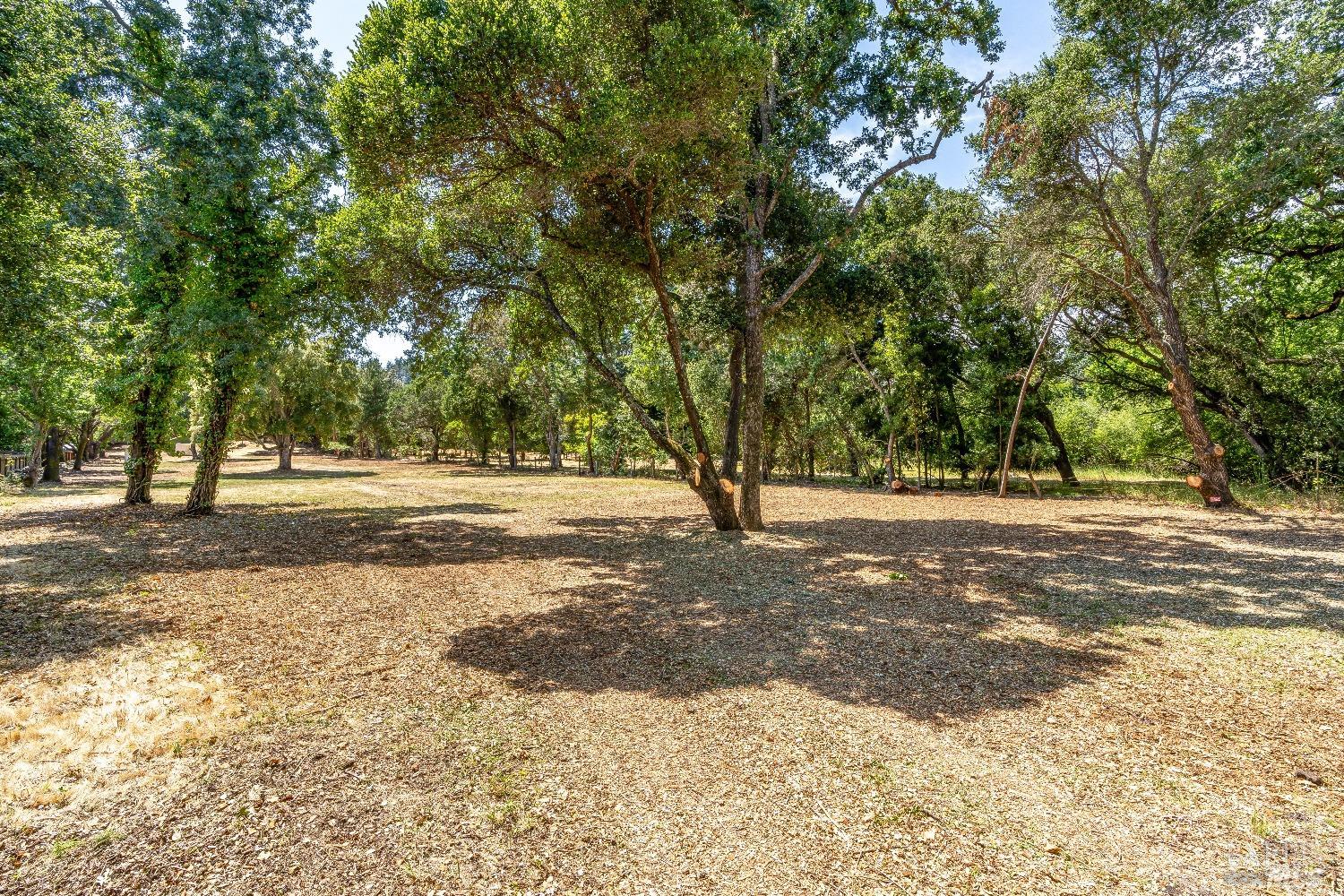 0 Bridgewood Drive Santa Rosa, CA 95404 - Photo 9 of 30 a view of road space with trees