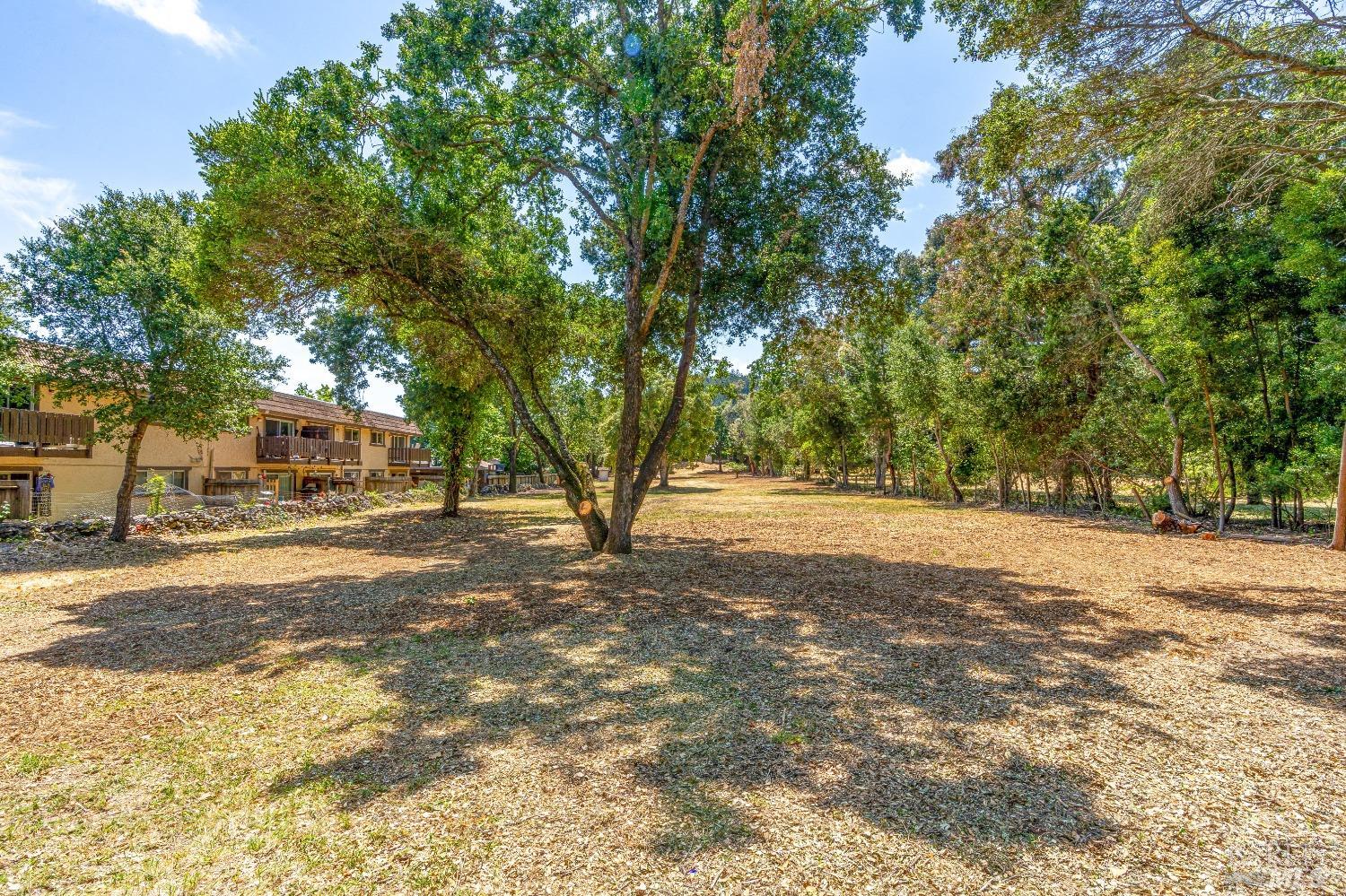 0 Bridgewood Drive Santa Rosa, CA 95404 - Photo 10 of 30 a view of a yard with a tree