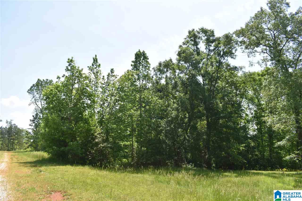 Lot 41 County Road 264, Unit RIVER BREEZE ESTATES Wedowee, AL 36278 - Photo 10 of 16