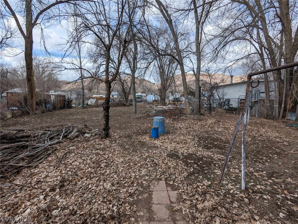 780 A Street Caliente, NV 89008 - Photo 7 of 18 Gallery Image 7