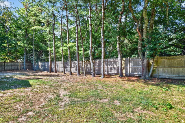 a view of a backyard with large trees and wooden fence