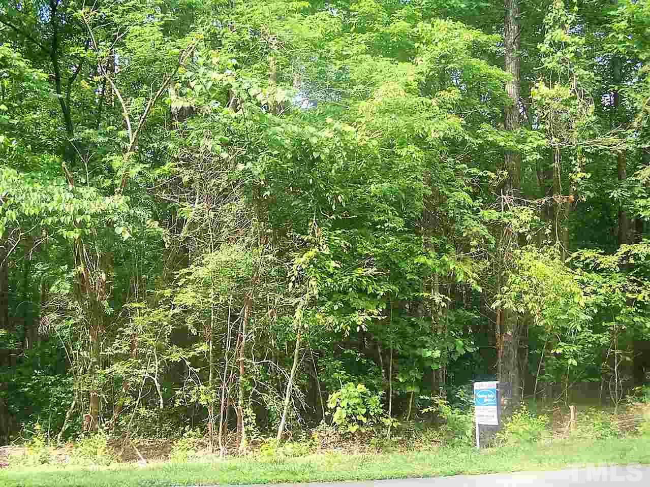 Lot 45 Creek Point Road Haw River, NC 27258 - Photo 2 of 2 Gallery Image 2
