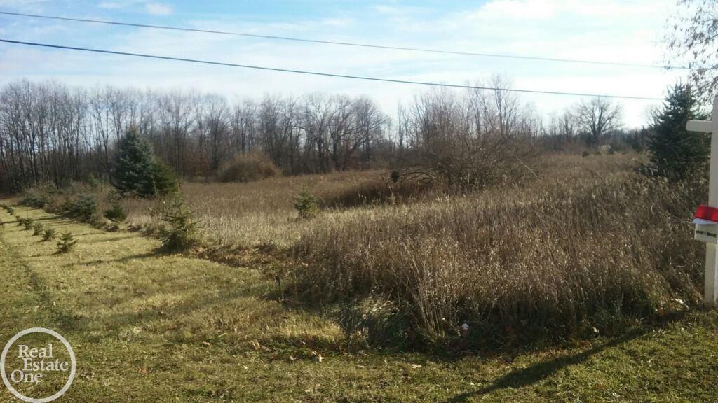 Vl Metamora Road Metamora, MI 48455 - Photo 2 of 5 31344115-1.JPG