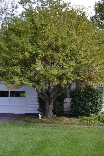 119 Rowan Road White Sulphur Springs, WV 24986 - Photo 14 of 50 Gallery Image 14