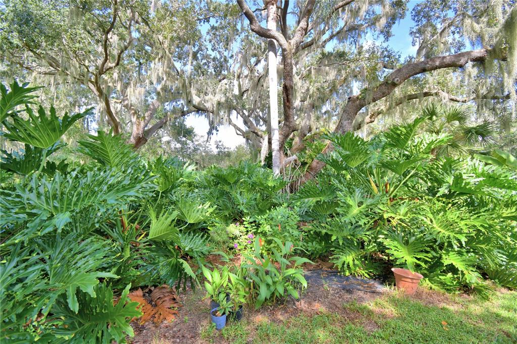 733 North Lake Reedy Boulevard Frostproof, FL 33843 - Photo 76 of 80