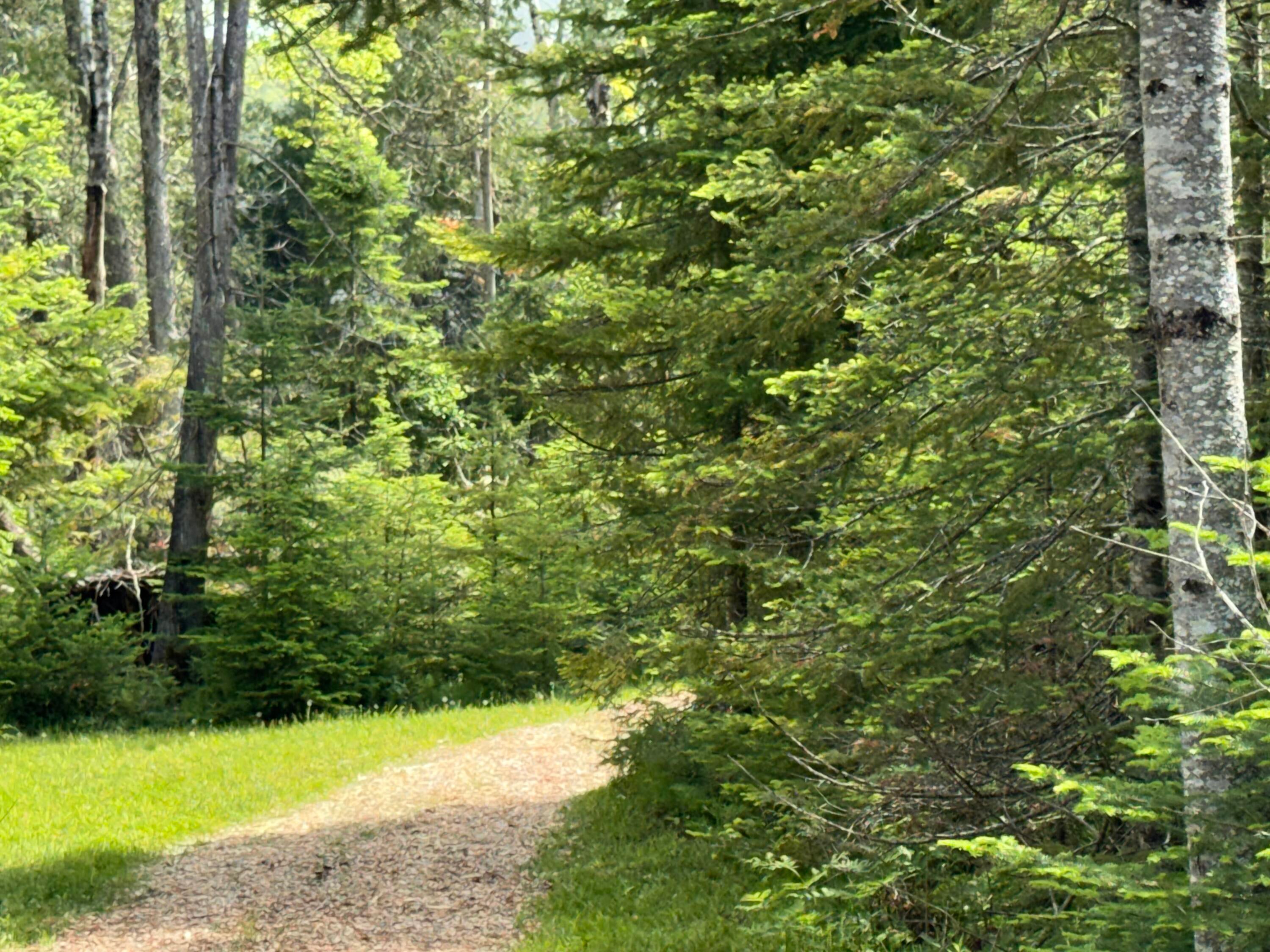 4 Wreck Road Alpena, MI 49707 - Photo 26 of 58 Gallery Image 26