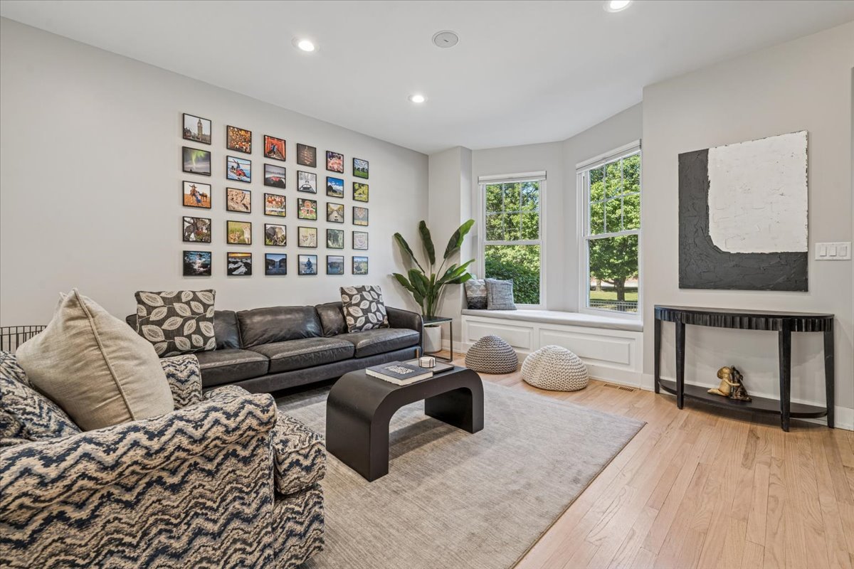 219 West Goethe Street Chicago, IL 60610 - Photo 6 of 55