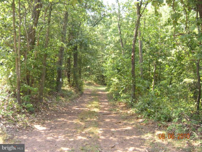 595 New Hope Road Cross Junction, VA 22625 - Photo 1 of 1 View