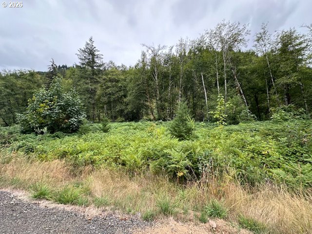 1 North Dubois Road Ariel, WA 98603 - Photo 1 of 6 Gallery Image 1