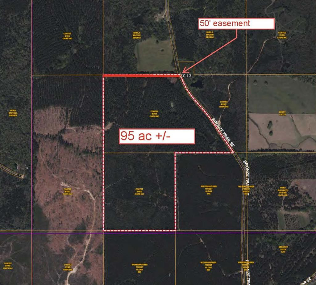 123 Bronze Drive Southeast Ruth, MS 39662 - Photo 1 of 1 Main View