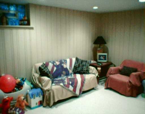 4727 Baldwin Manor Road Whitehall, PA 15227 - Photo 6 of 8 Den/Family/Great Room.