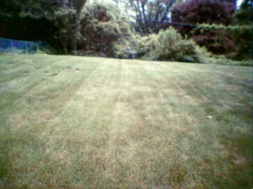 4727 Baldwin Manor Road Whitehall, PA 15227 - Photo 8 of 8 Yard/Garden.