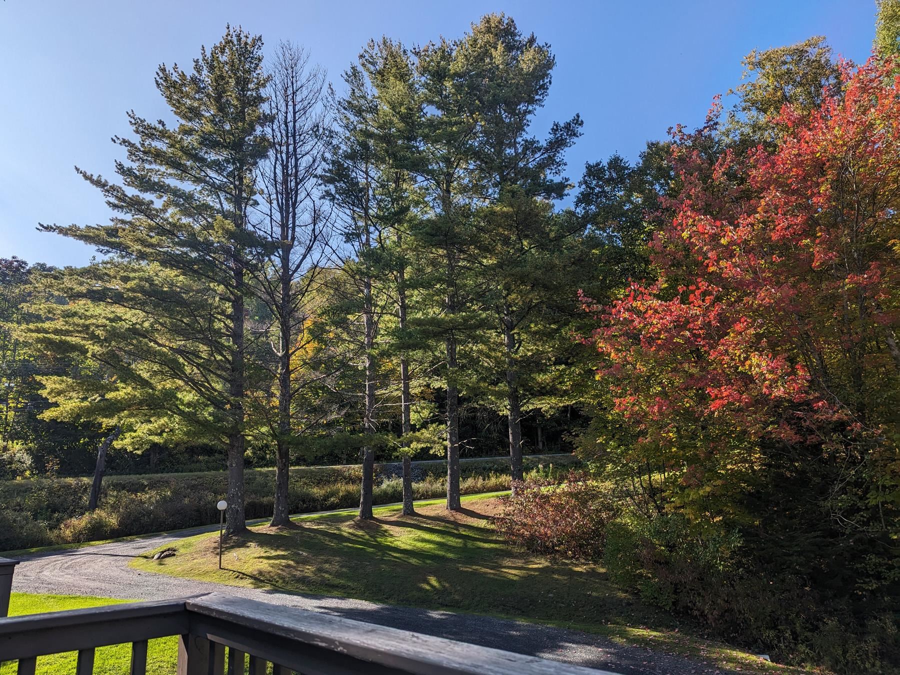 60 Drumley North Road, Unit 29 Warren, VT 05674 - Photo 18 of 27 Gallery Image 18