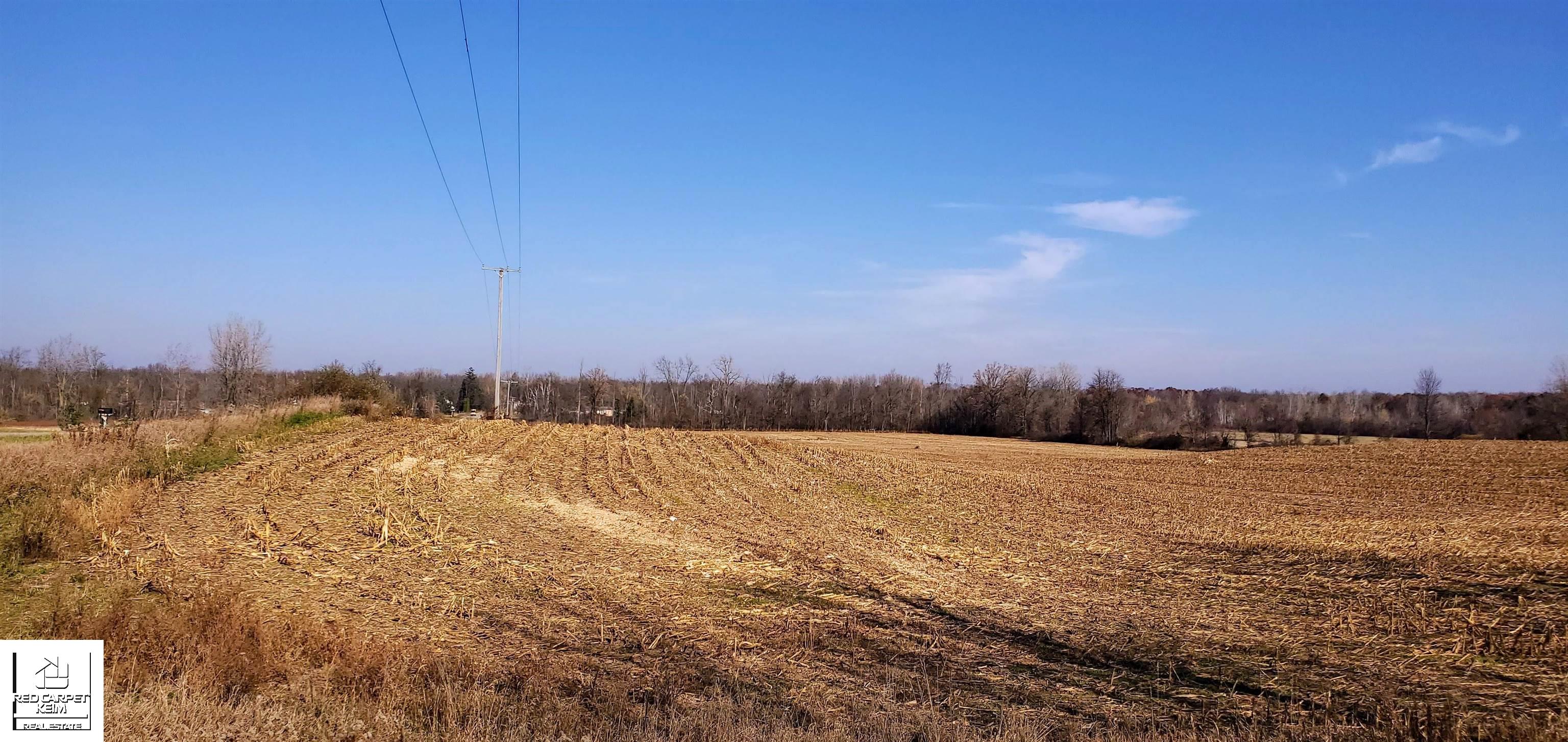 Vl Silverwood Road North Branch, MI 48461 - Photo 2 of 7