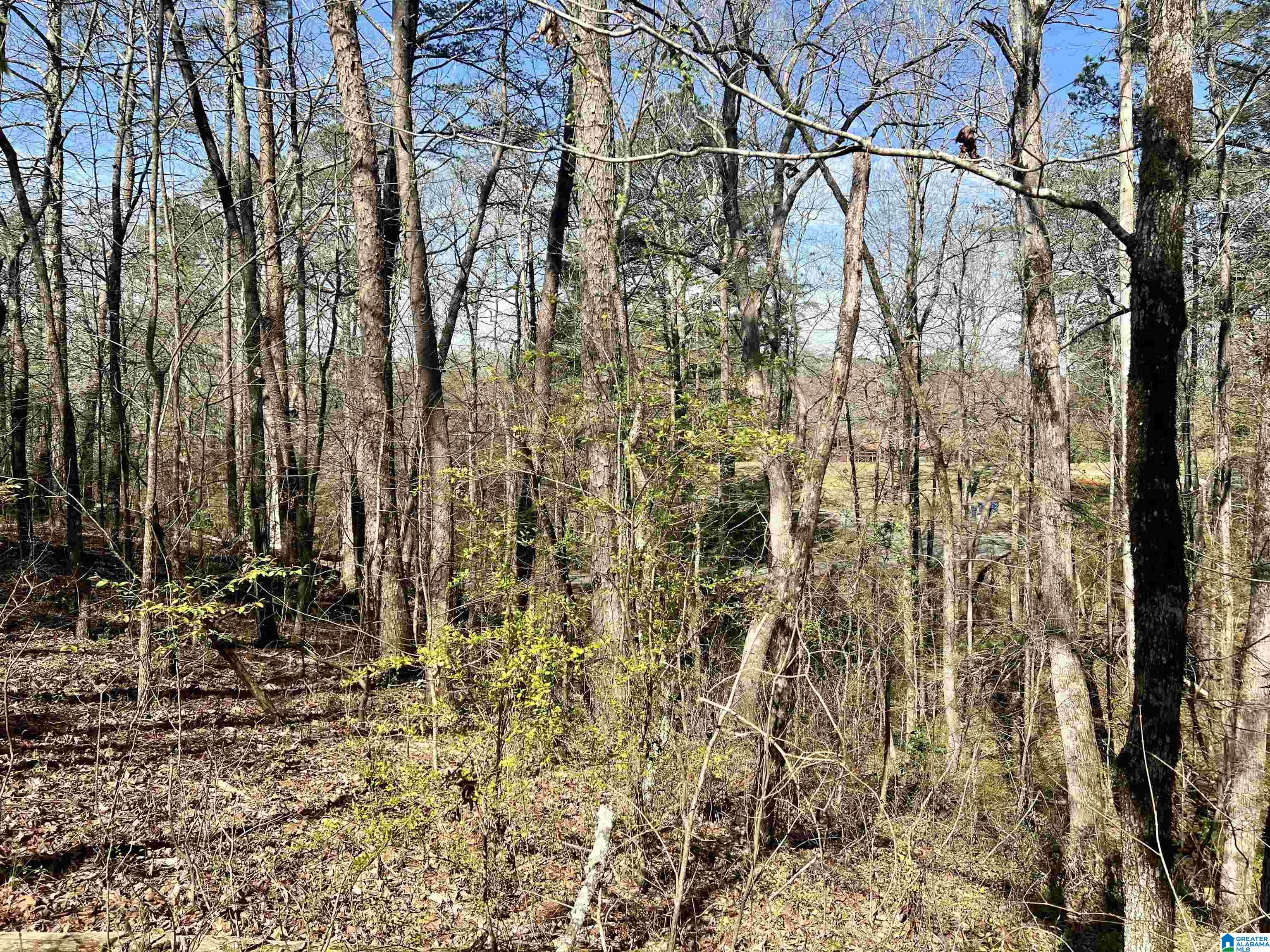0 Lakeshore Lane, Unit 4 Oneonta, AL 35121 - Photo 44 of 49