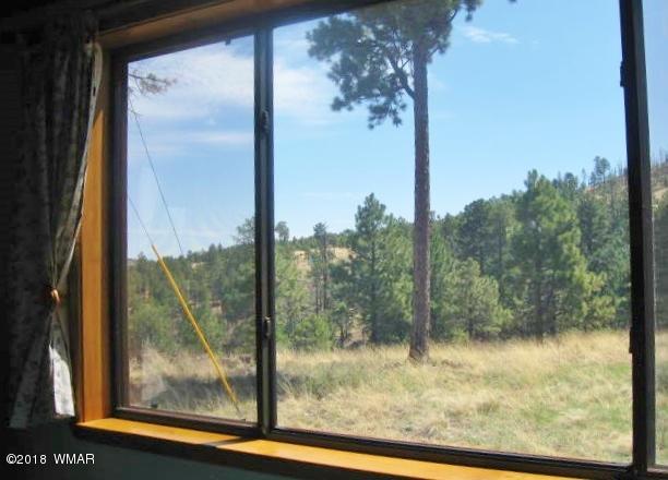 4 County Road Greer, AZ 85927 - Photo 23 of 24