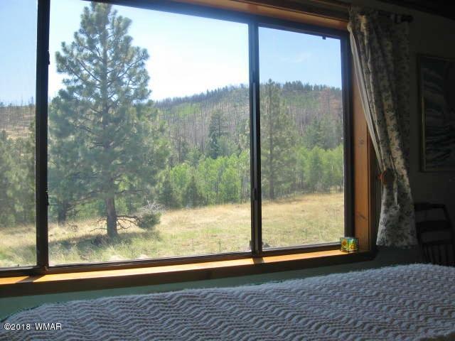 4 County Road Greer, AZ 85927 - Photo 24 of 24 a view of a room with wooden floor and a floor to ceiling window