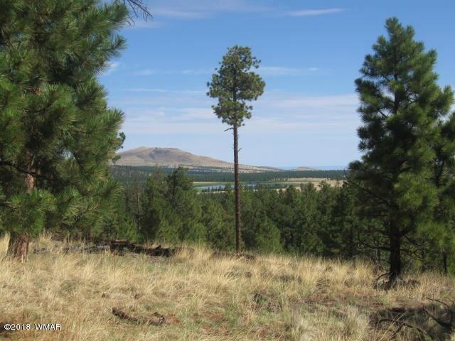 4 County Road Greer, AZ 85927 - Photo 3 of 24 a view of a yard with potted plants and large trees