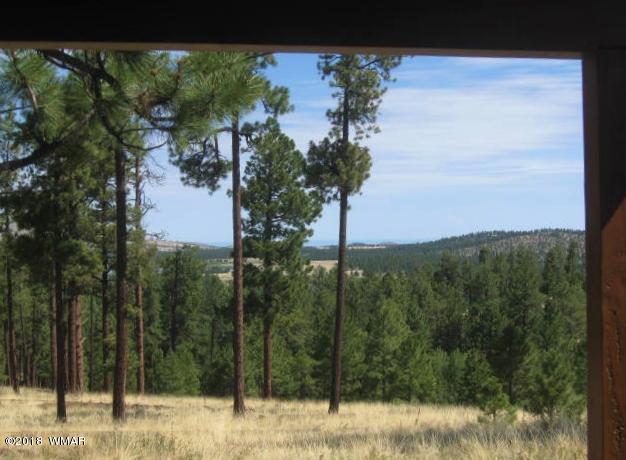 4 County Road Greer, AZ 85927 - Photo 4 of 24 a view of a yard and mountain