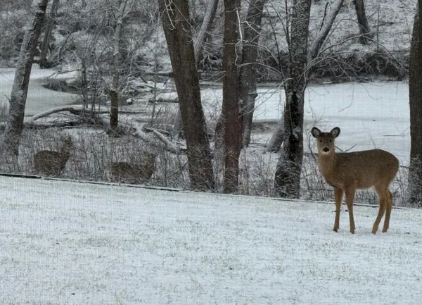 $400,000 | 2661 Northern Road, Unit E, Appleton, WI 54914