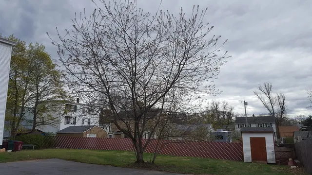 $2,350 | 19 Delmont Avenue, Unit 19, Lowell, MA 01852