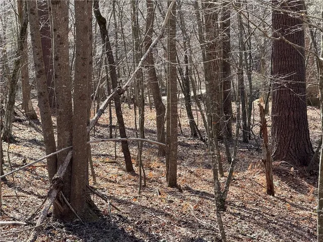 $359,900 | 687 West Meadow Parkway, Moravian Falls, NC 28654