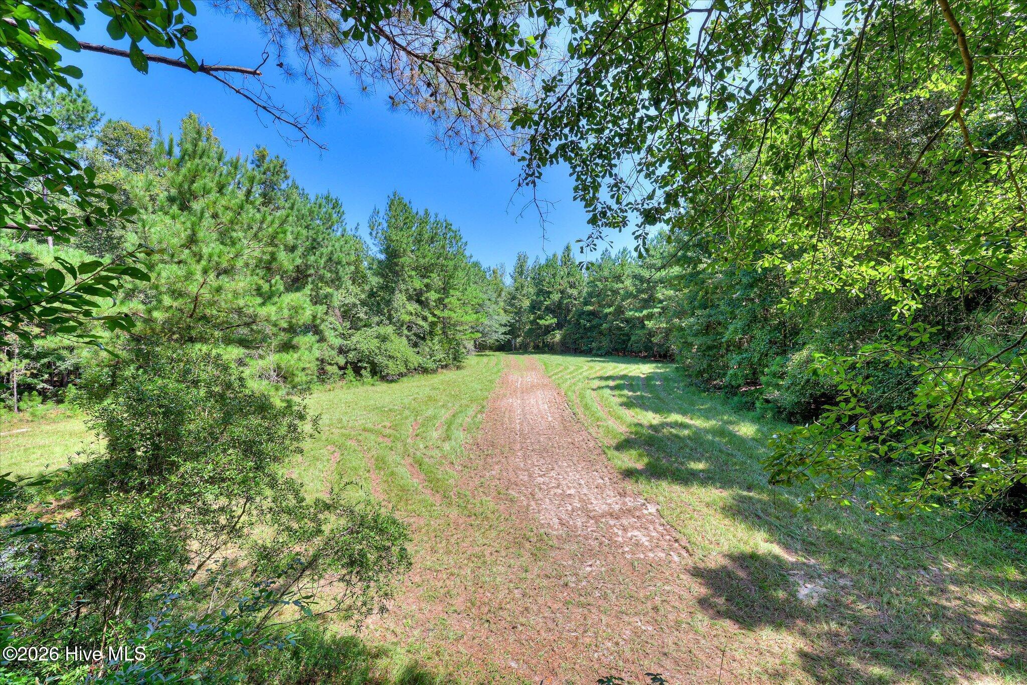 170 Landing Road Jackson, SC 29831 - Photo 35 of 76 Gallery Image 35