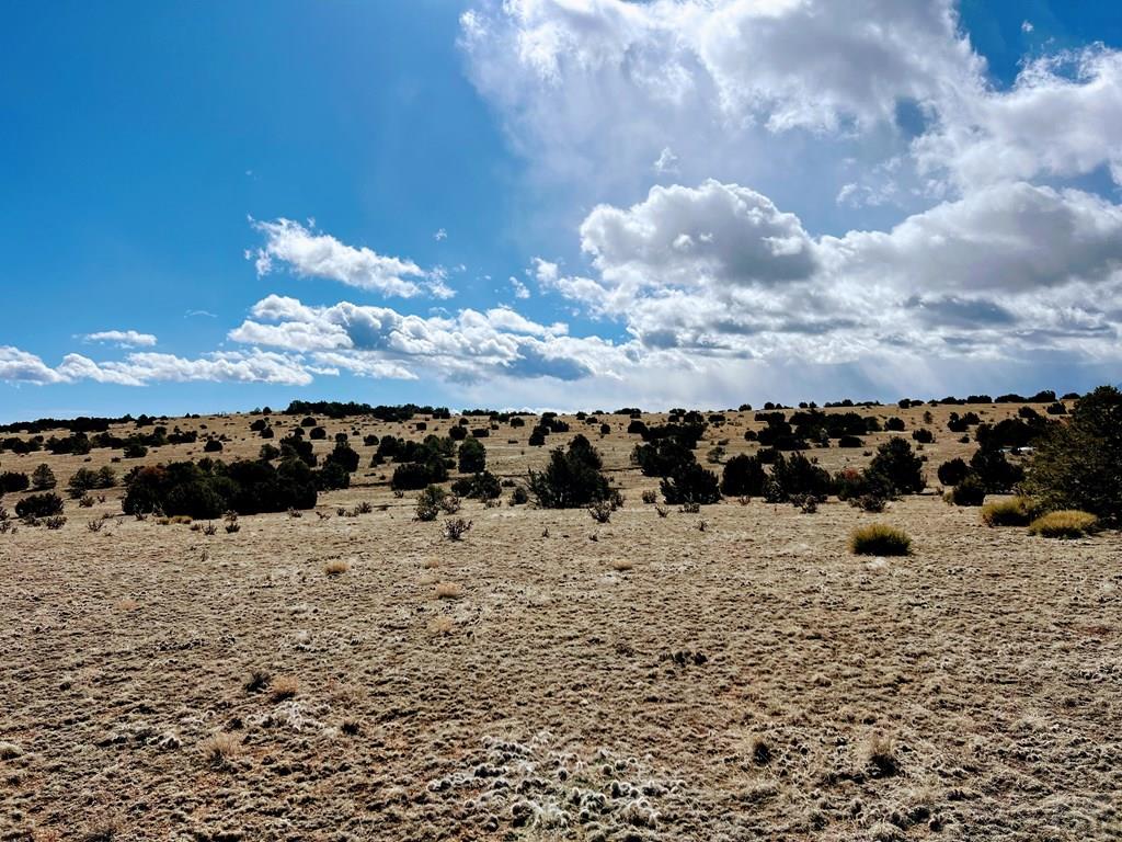 0 Twin Lakes Road Walsenburg, CO 81089 - Photo 9 of 13