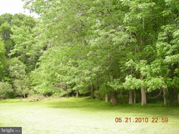 707 Remington Road Fallston, MD 21047 - Photo 13 of 18 Path to the water!
