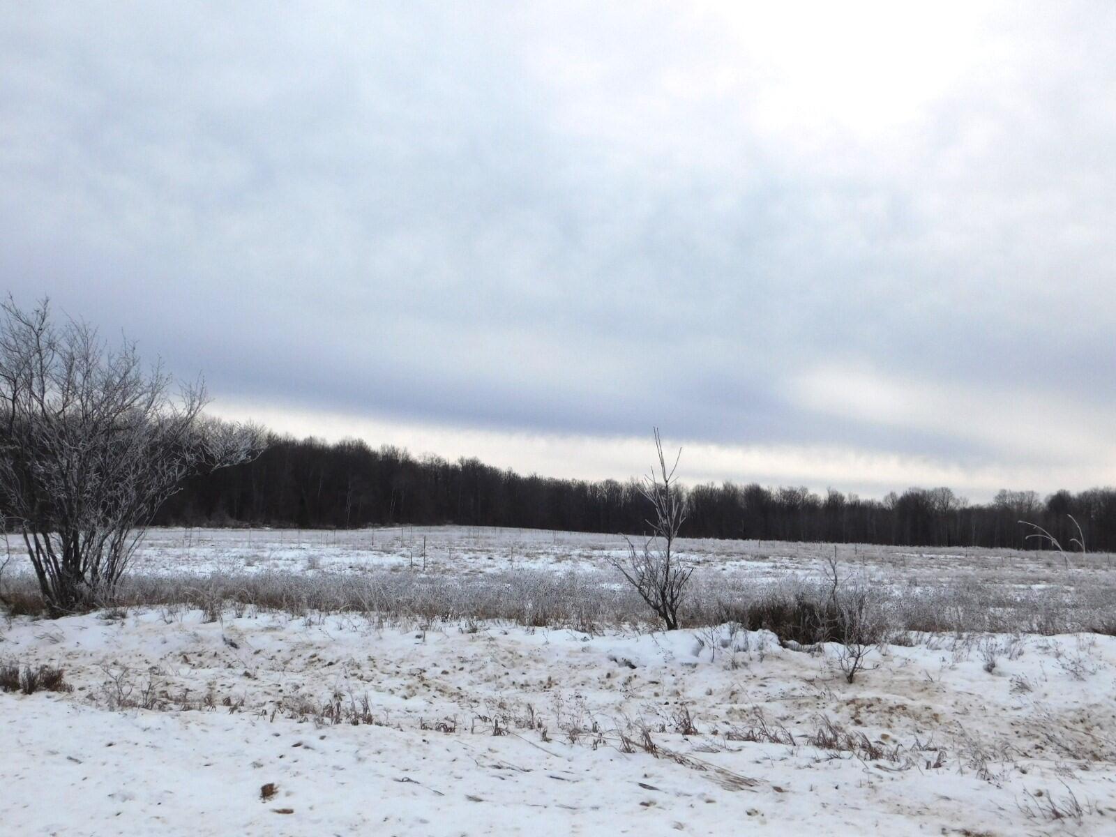West Marker Road Grayling, MI 49738 - Photo 9 of 16 Gallery Image 9