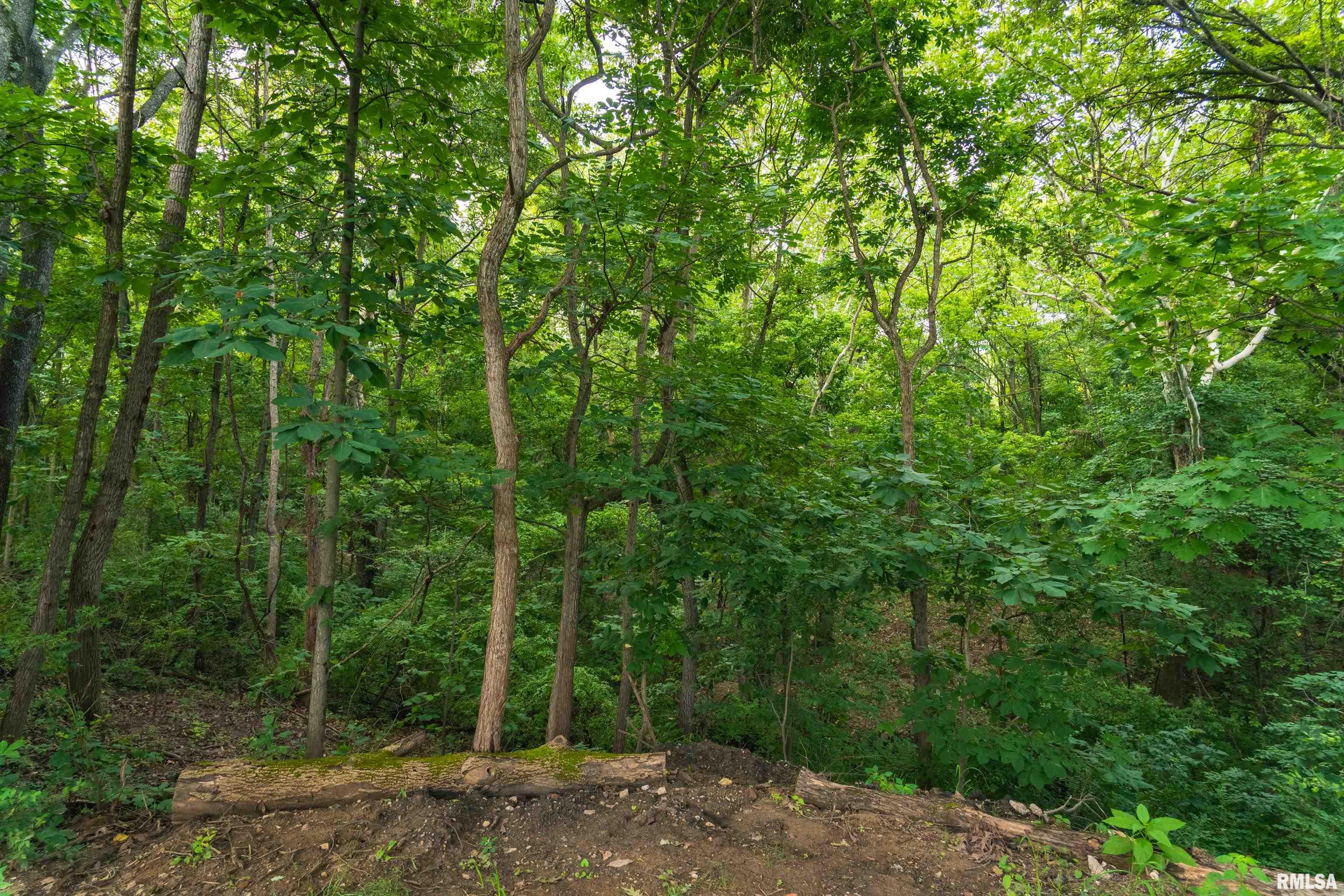 1885 Central Point Road Springfield, IL 62707 - Photo 93 of 100 Gallery Image 93