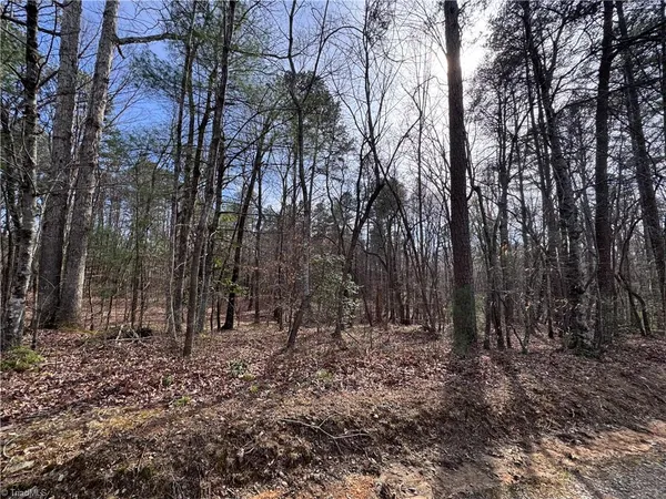 $69,000 | Tbd Leeford Lane, Elkin, NC 28621