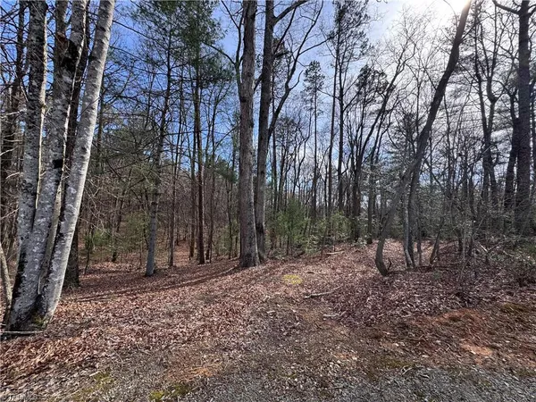 $69,000 | Tbd Leeford Lane, Elkin, NC 28621